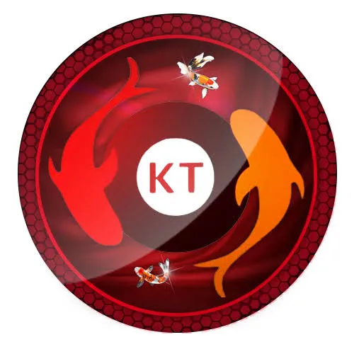 koitoto - Hiburan Selebriti APK